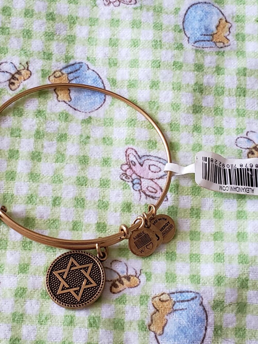 Alex and Ani Gold Charm Star of David Hanukkah Bracelet Bangle 761